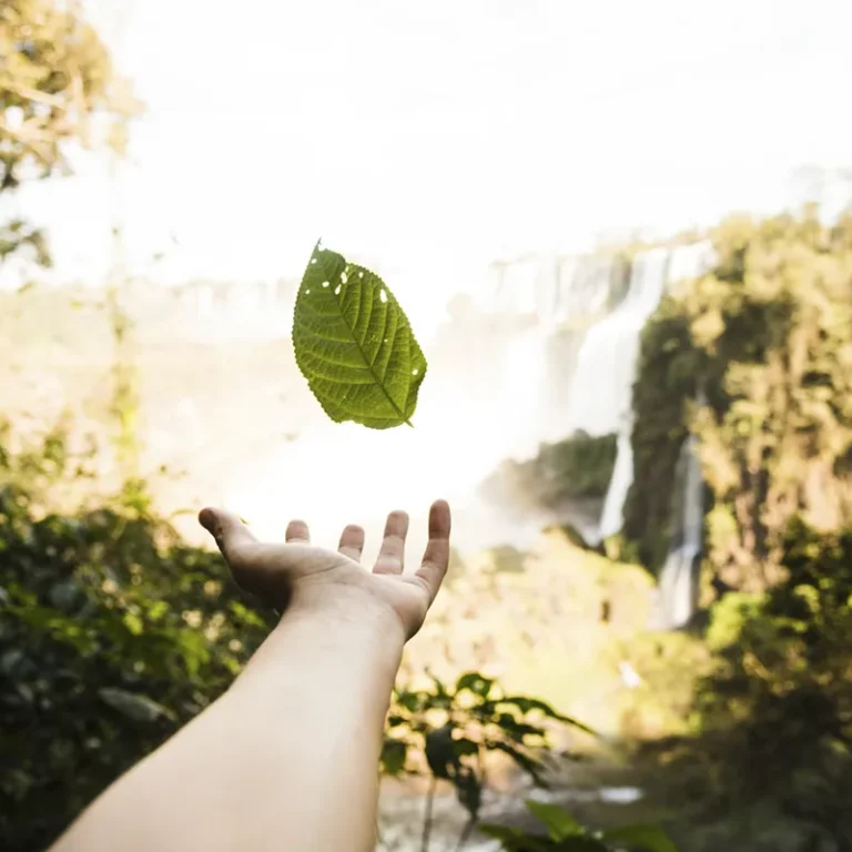 Img Escena de la obra Natur Man